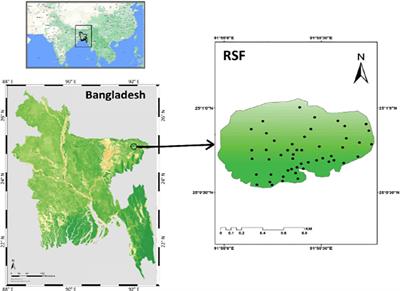 Anthropogenic disturbance modifies tree functional traits in the only remnant swamp forest of Bangladesh
